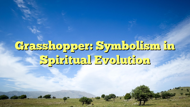 Grasshopper: Symbolism in Spiritual Evolution